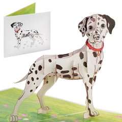 Dalmatian Pop Up Card - 6x6 Pop Up Birthday Card, Greetings Card | Happy Birthday Card for Sisters – Gift for Women iOyounow - Ioyounow