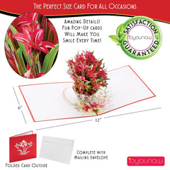 Red Amaryllis Popup Cards - 6x6 Pop Up Birthday Card, Greetings Card | Happy Birthday Card for Sisters – Gift for Women iOyounow - Ioyounow