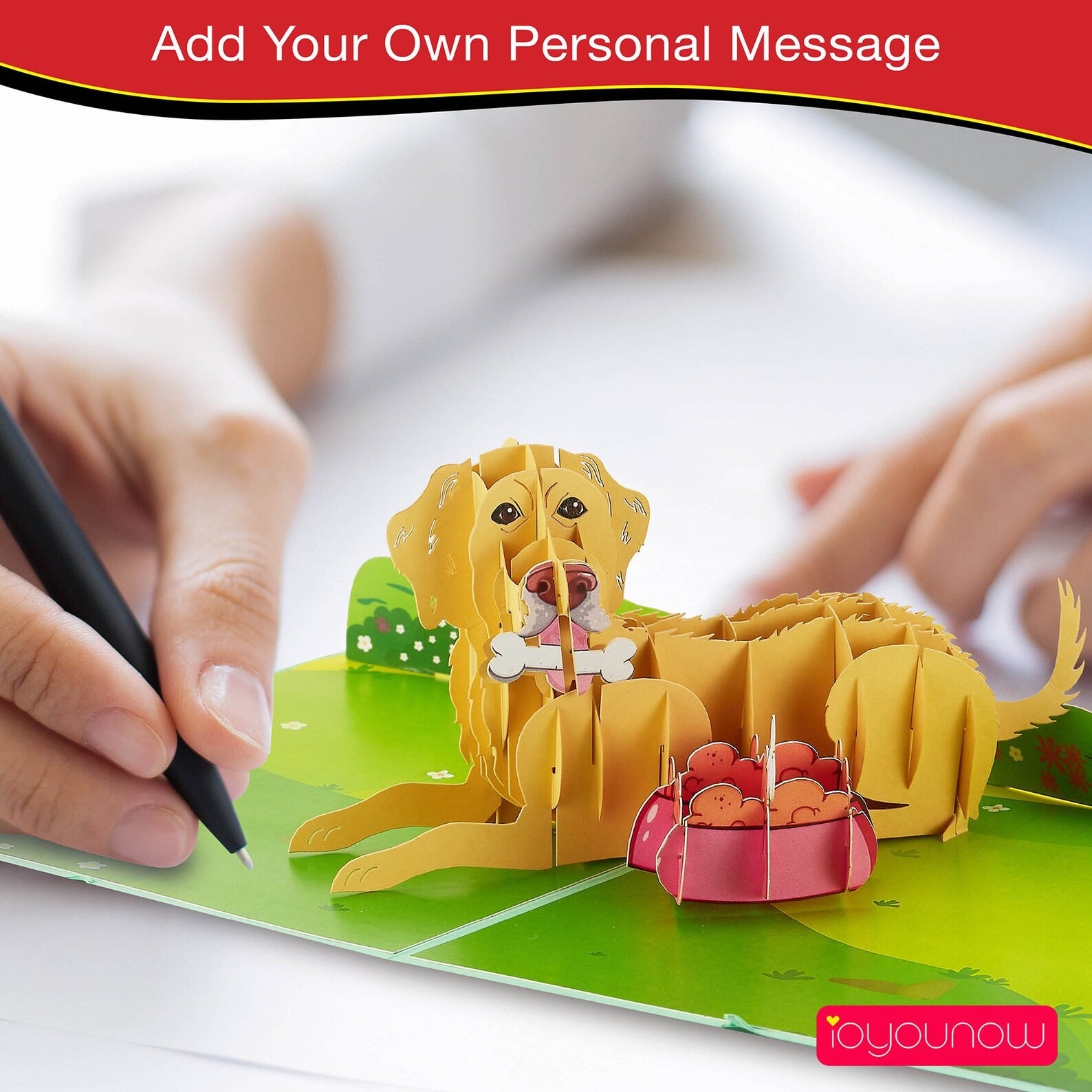 IOYOUNOW Golden Retriever Pop Up Card - 12x6 Inch Pet Love Greeting Card with Adorable 3D Design - Perfect for Dog Lovers Birthdays Card - Ioyounow